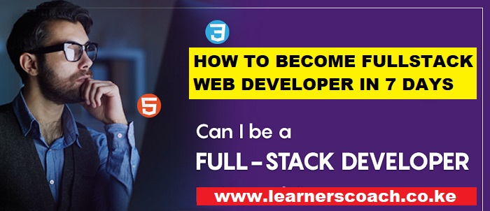 fullstack web developer
