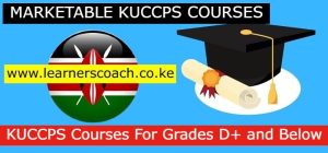Marketable KUCCPS Courses For Grades D+ and Below