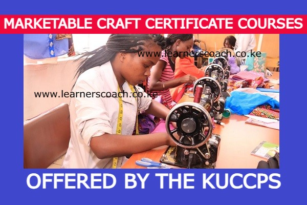 craft courses