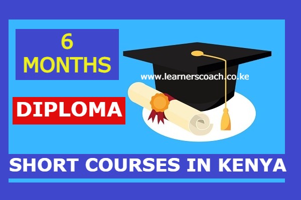 Diploma Short Courses