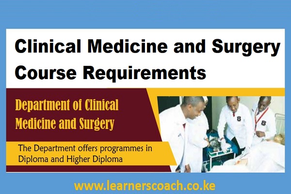 Clinical Medicine and Surgery